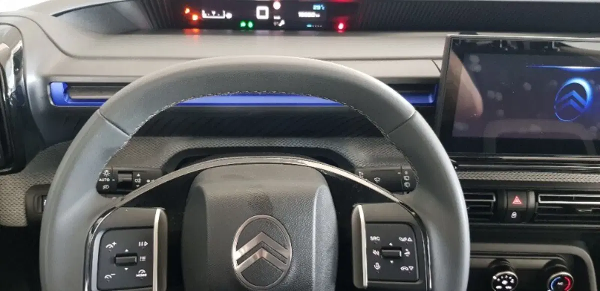 Citroen C3 usata a Pordenone (12)