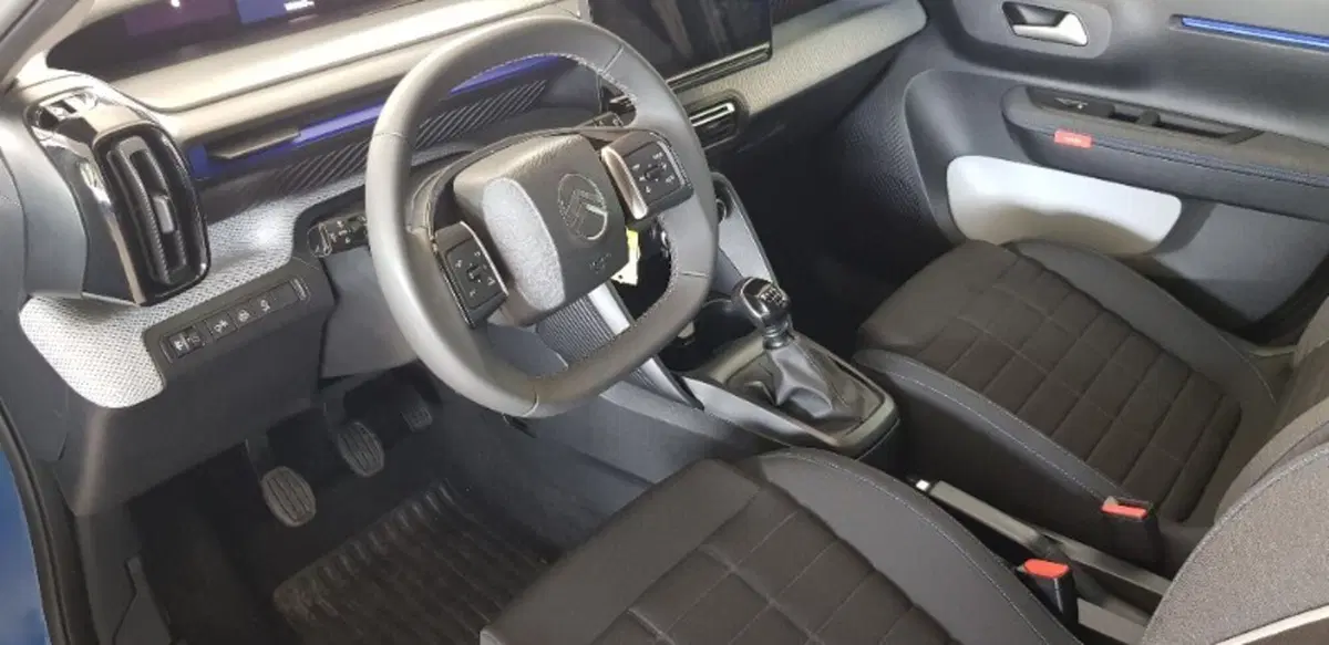 Citroen C3 usata a Pordenone (17)