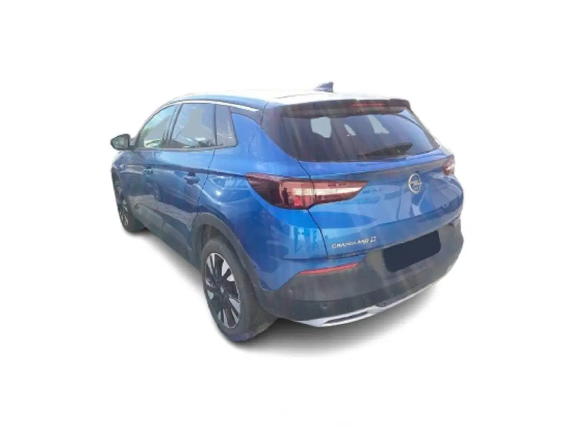 Opel Grandland X usata a Bari (8)