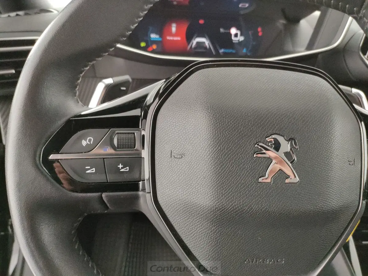 Peugeot 2008 usata a Caserta (19)