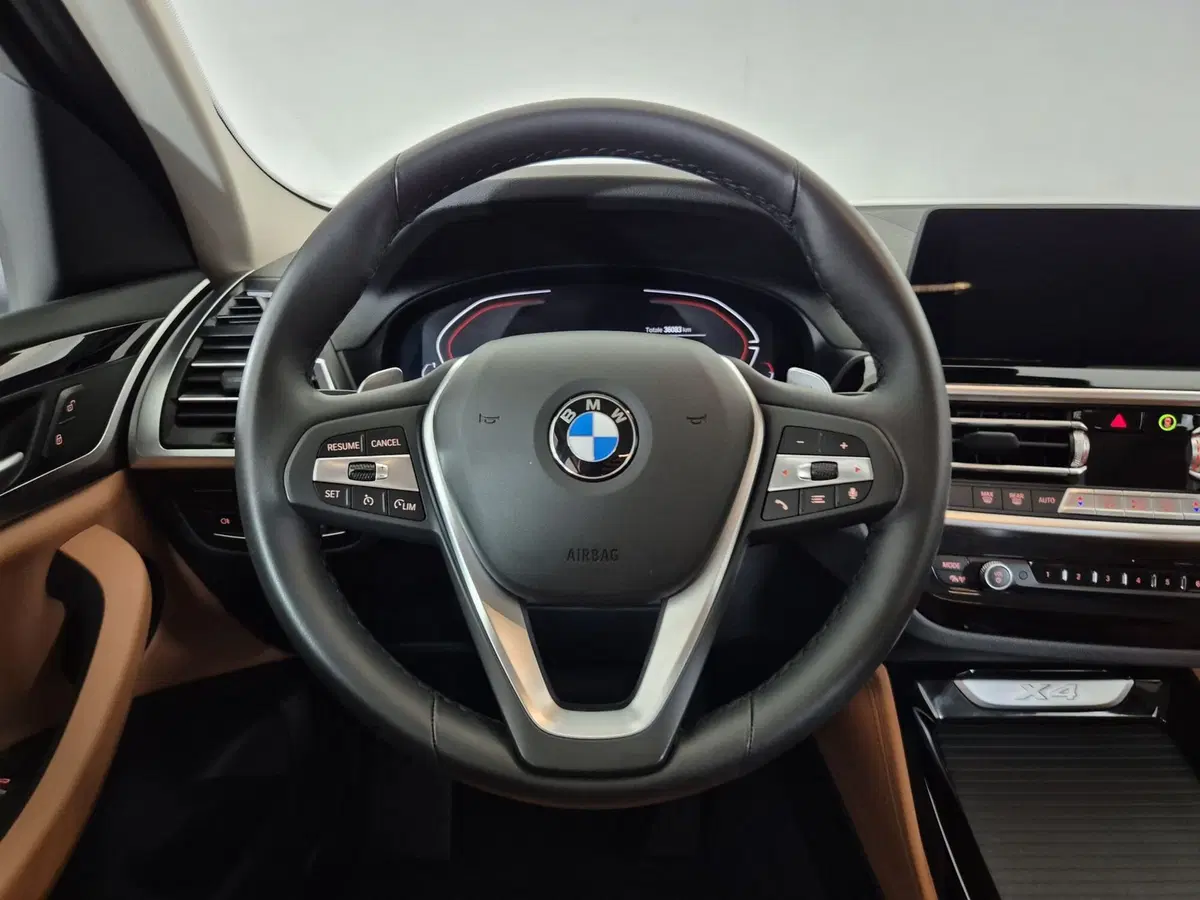 BMW X4 usata a Torino (10)