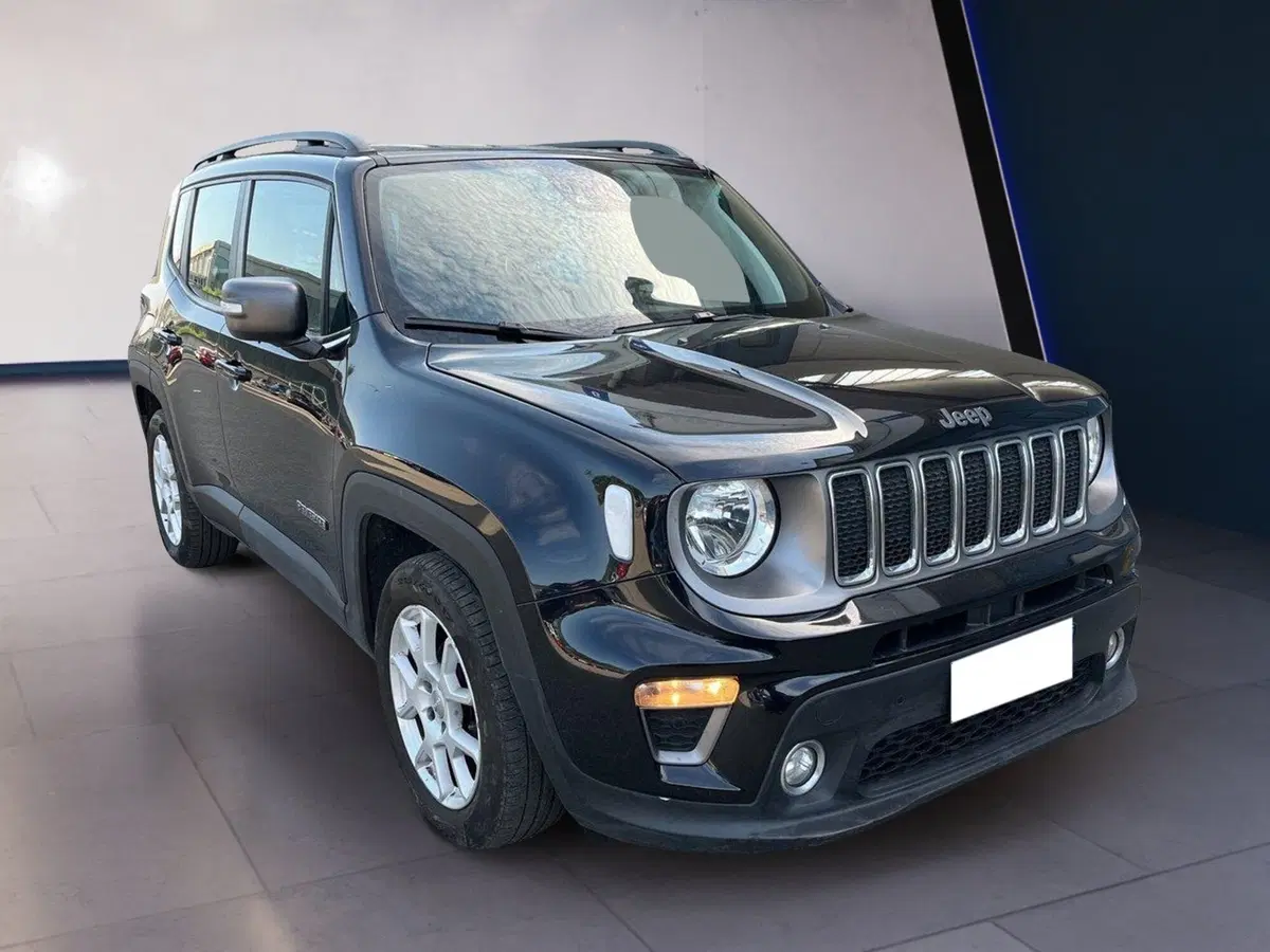 Jeep Renegade usata a Torino (3)
