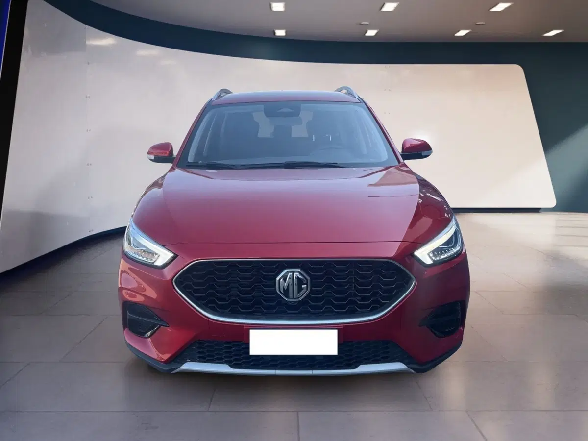 Mg ZS usata a Torino