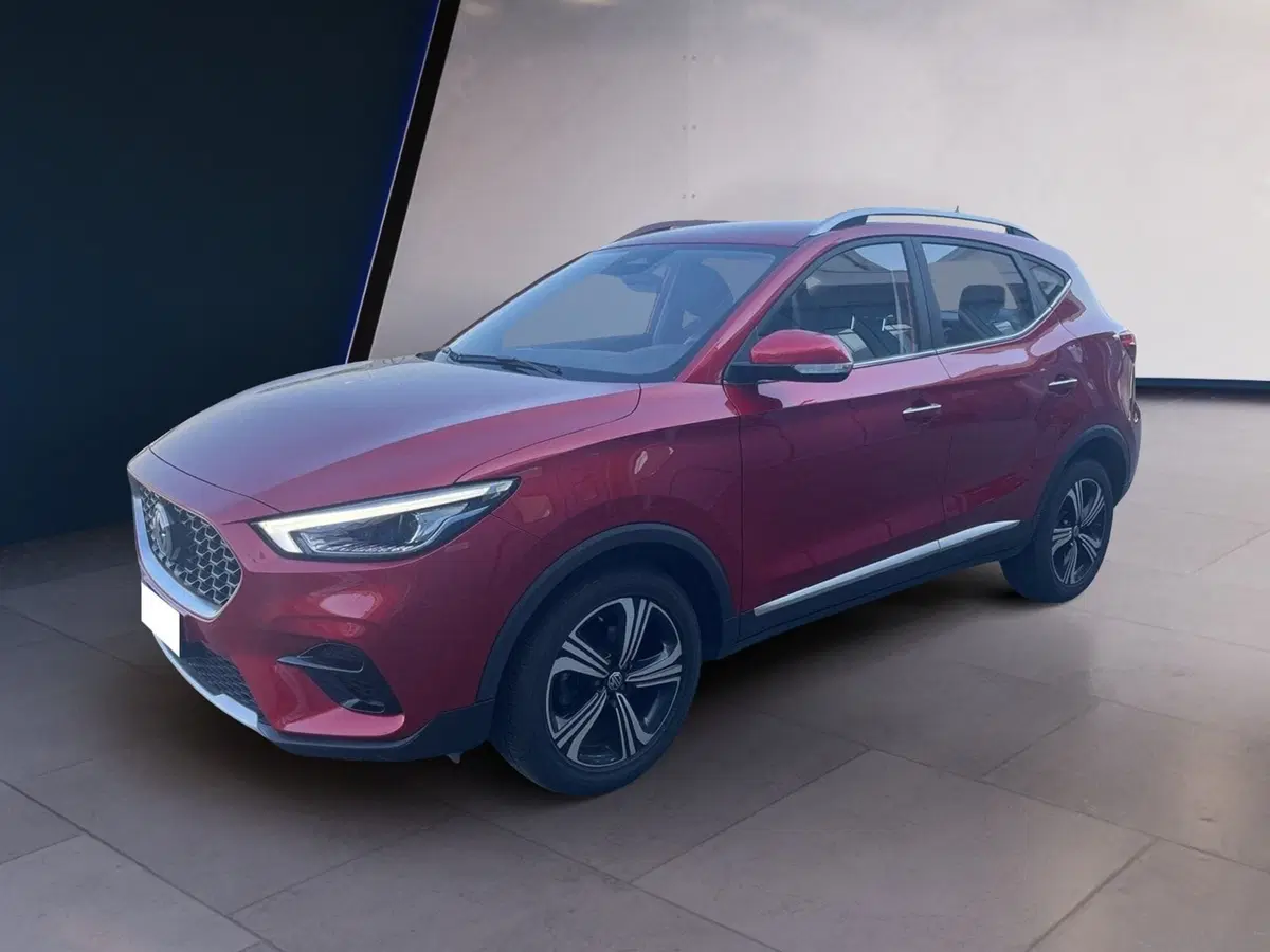 Mg ZS usata a Torino (2)