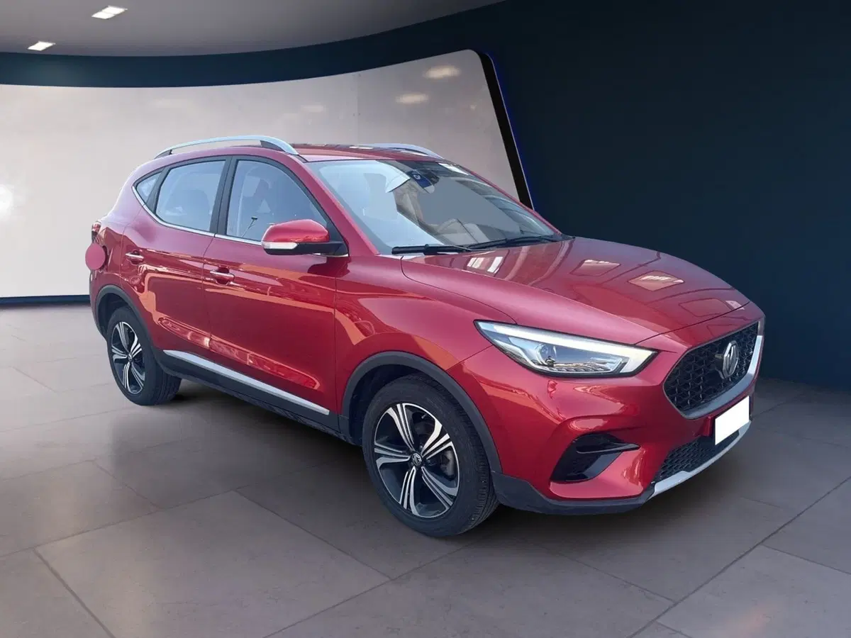 Mg ZS usata a Torino (3)