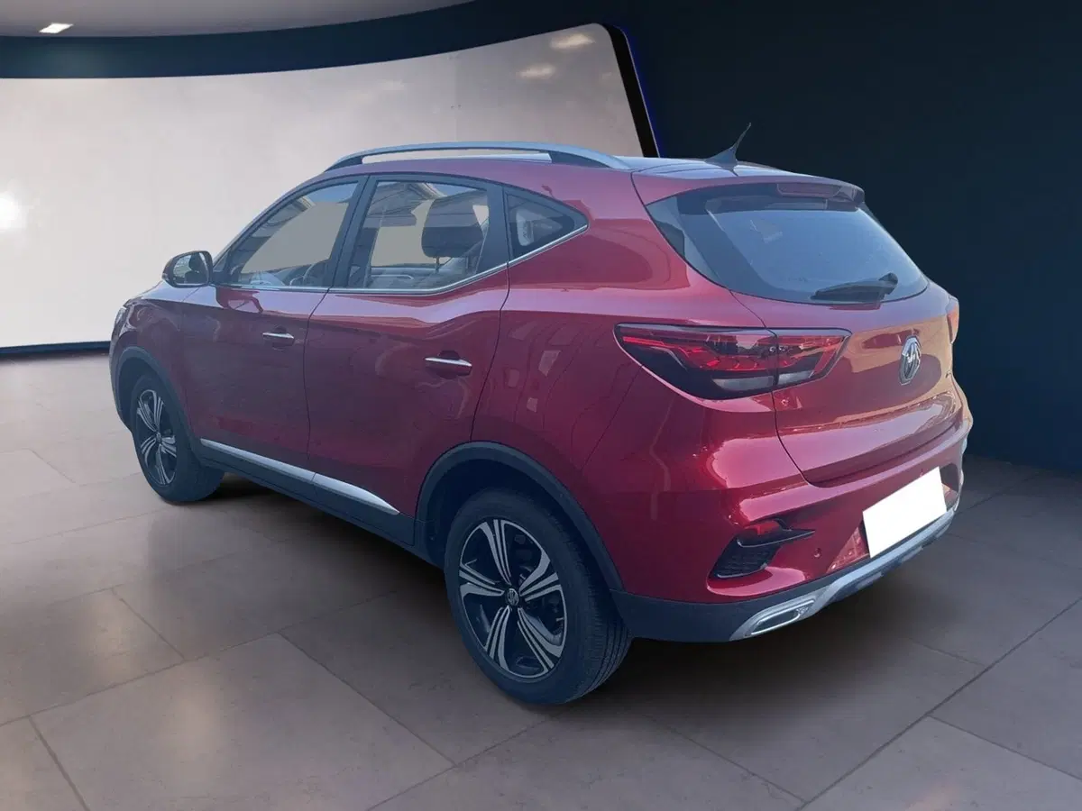 Mg ZS usata a Torino (6)