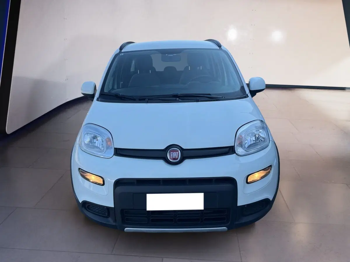 Fiat Panda usata a Torino