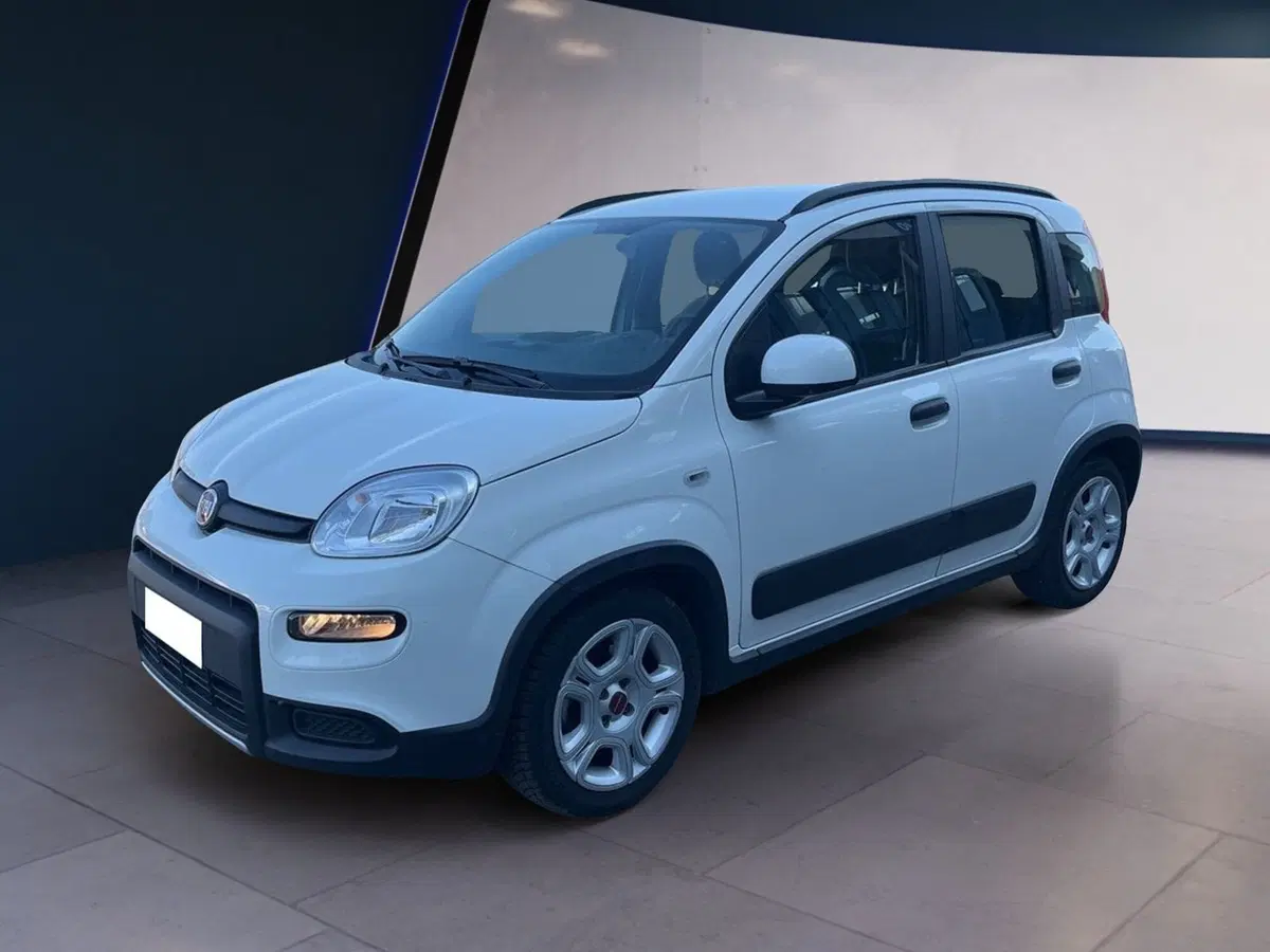 Fiat Panda usata a Torino (2)