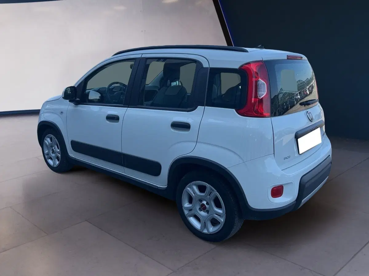 Fiat Panda usata a Torino (3)