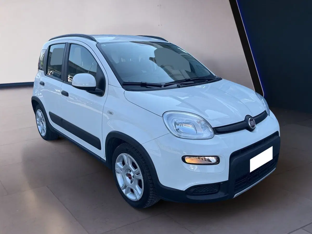 Fiat Panda usata a Torino (6)
