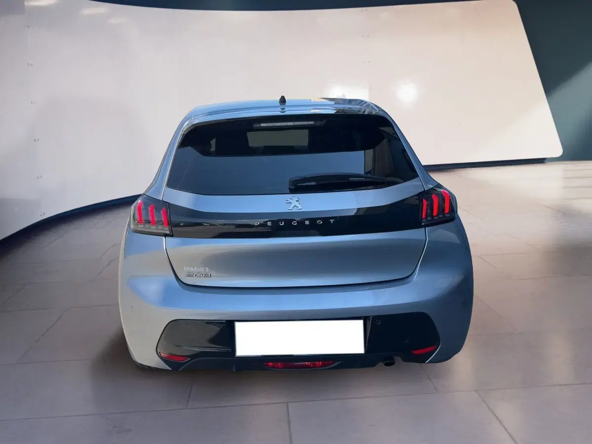 Peugeot 208 usata a Torino (5)