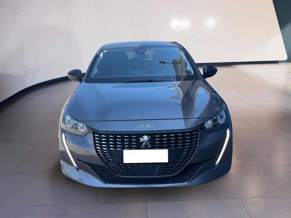 Peugeot 208 usata a Torino