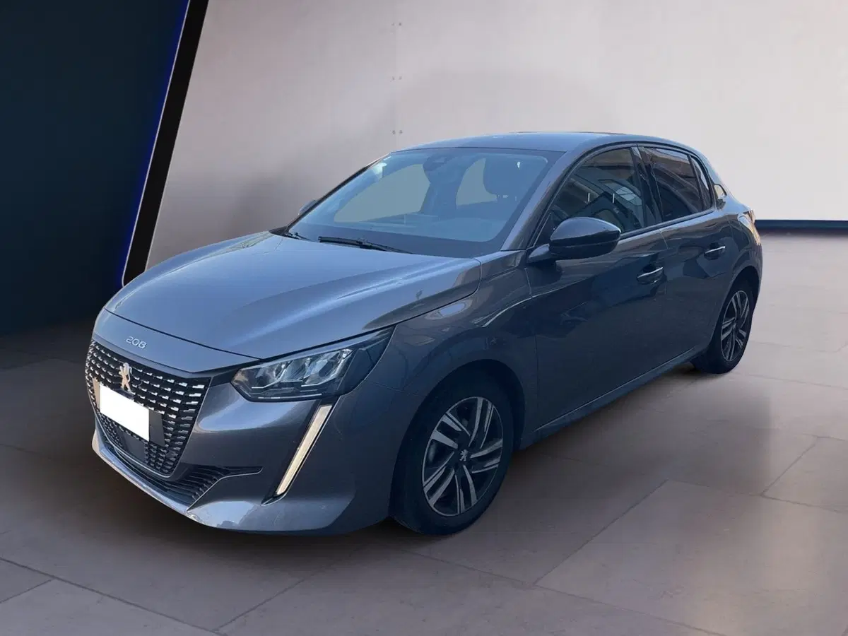 Peugeot 208 usata a Torino (2)