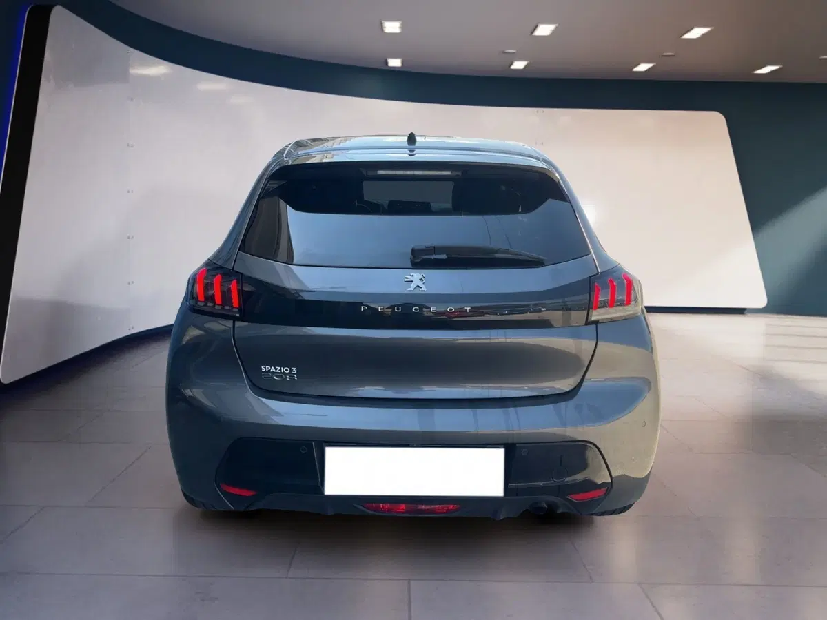 Peugeot 208 usata a Torino (5)
