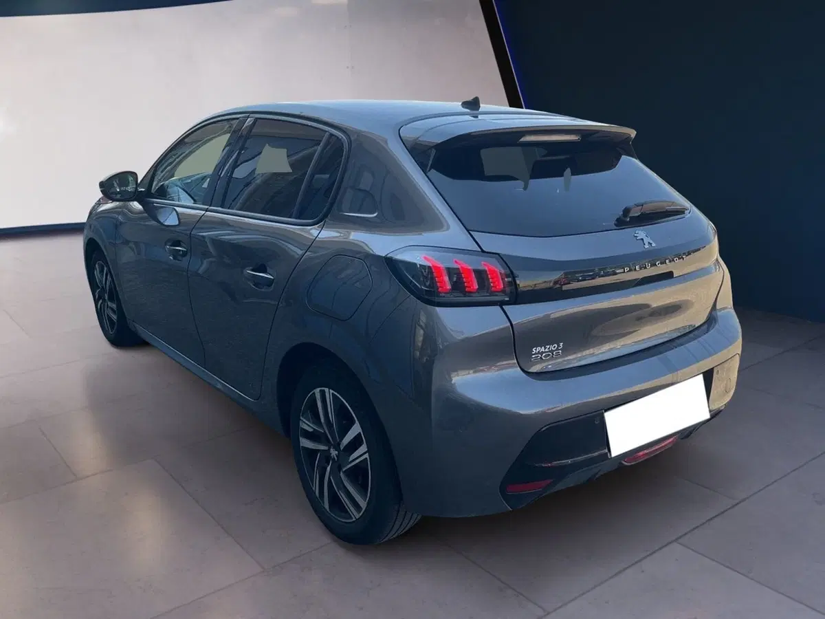 Peugeot 208 usata a Torino (6)
