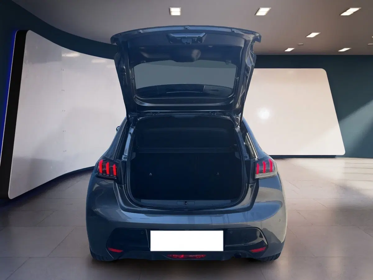 Peugeot 208 usata a Torino (7)
