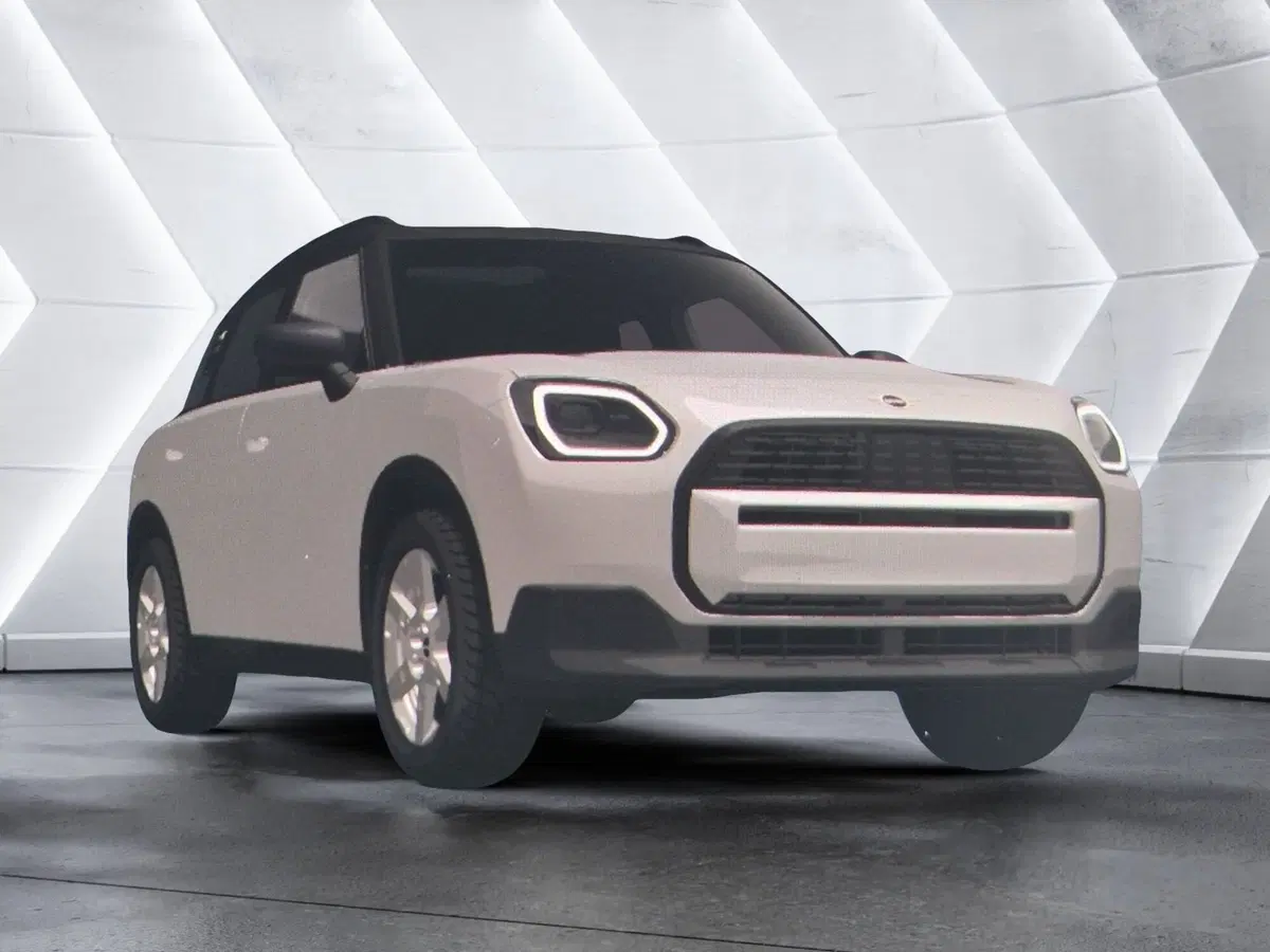 MINI Mini Countryman usata  (14)