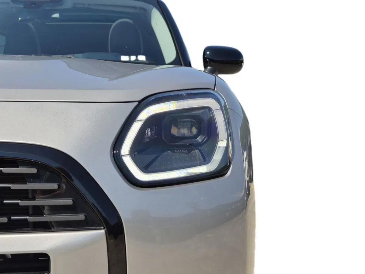 MINI Mini Countryman usata  (18)