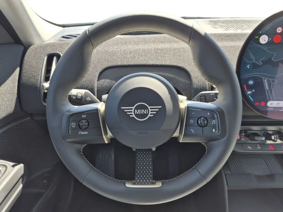 MINI Mini Countryman usata  (19)