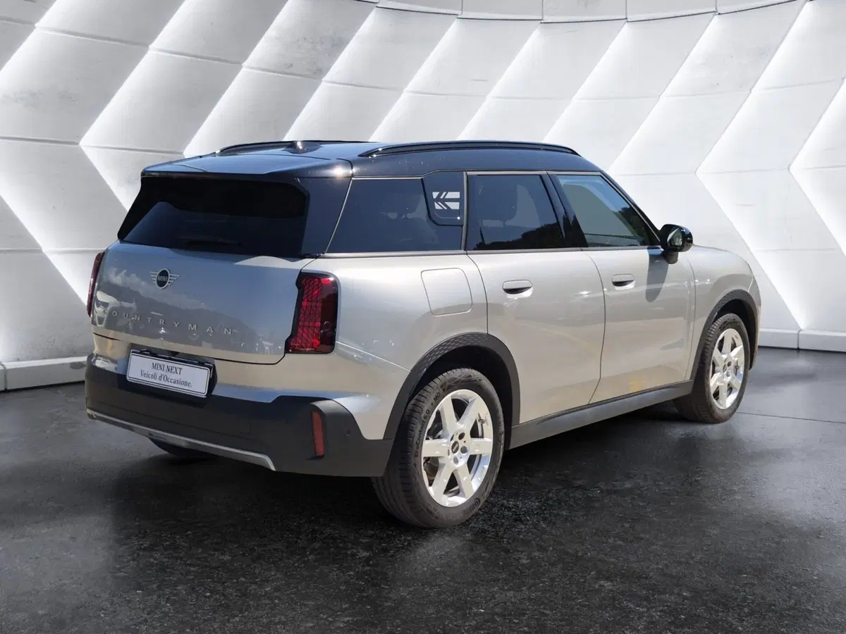 MINI Mini Countryman usata  (4)