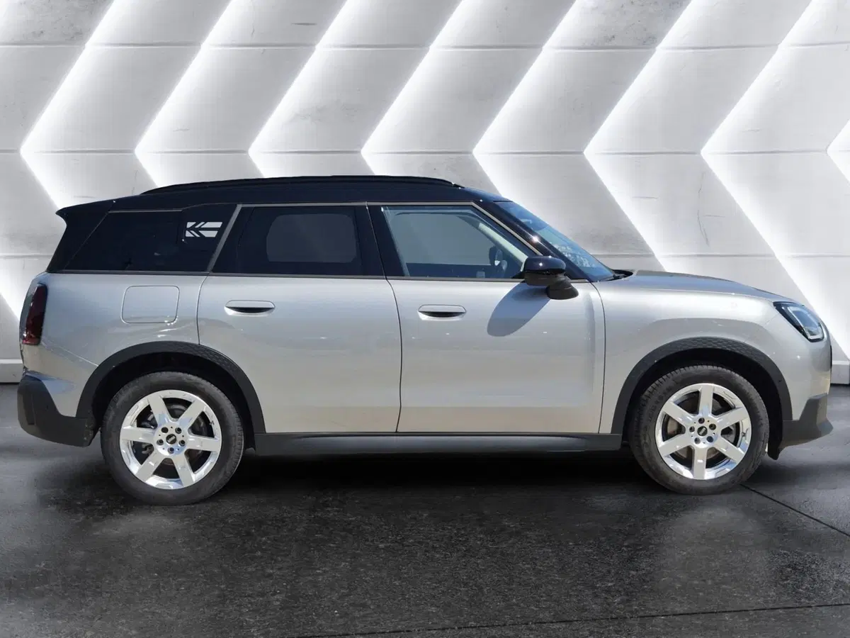 MINI Mini Countryman usata  (5)