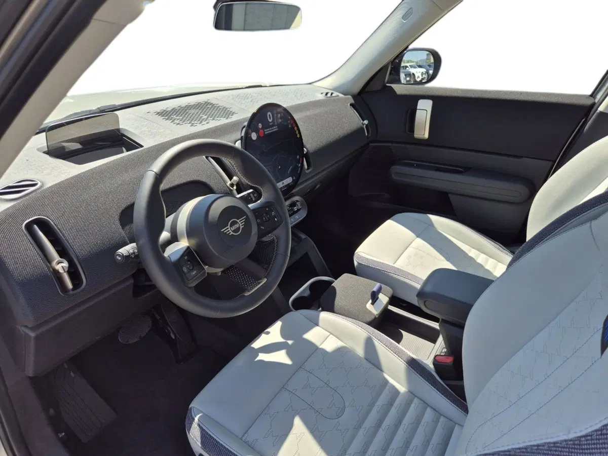 MINI Mini Countryman usata  (6)