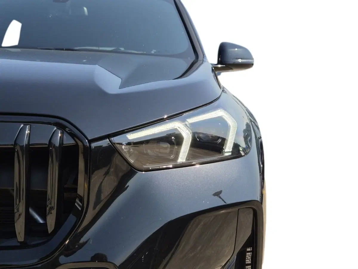 BMW X1 usata  (18)