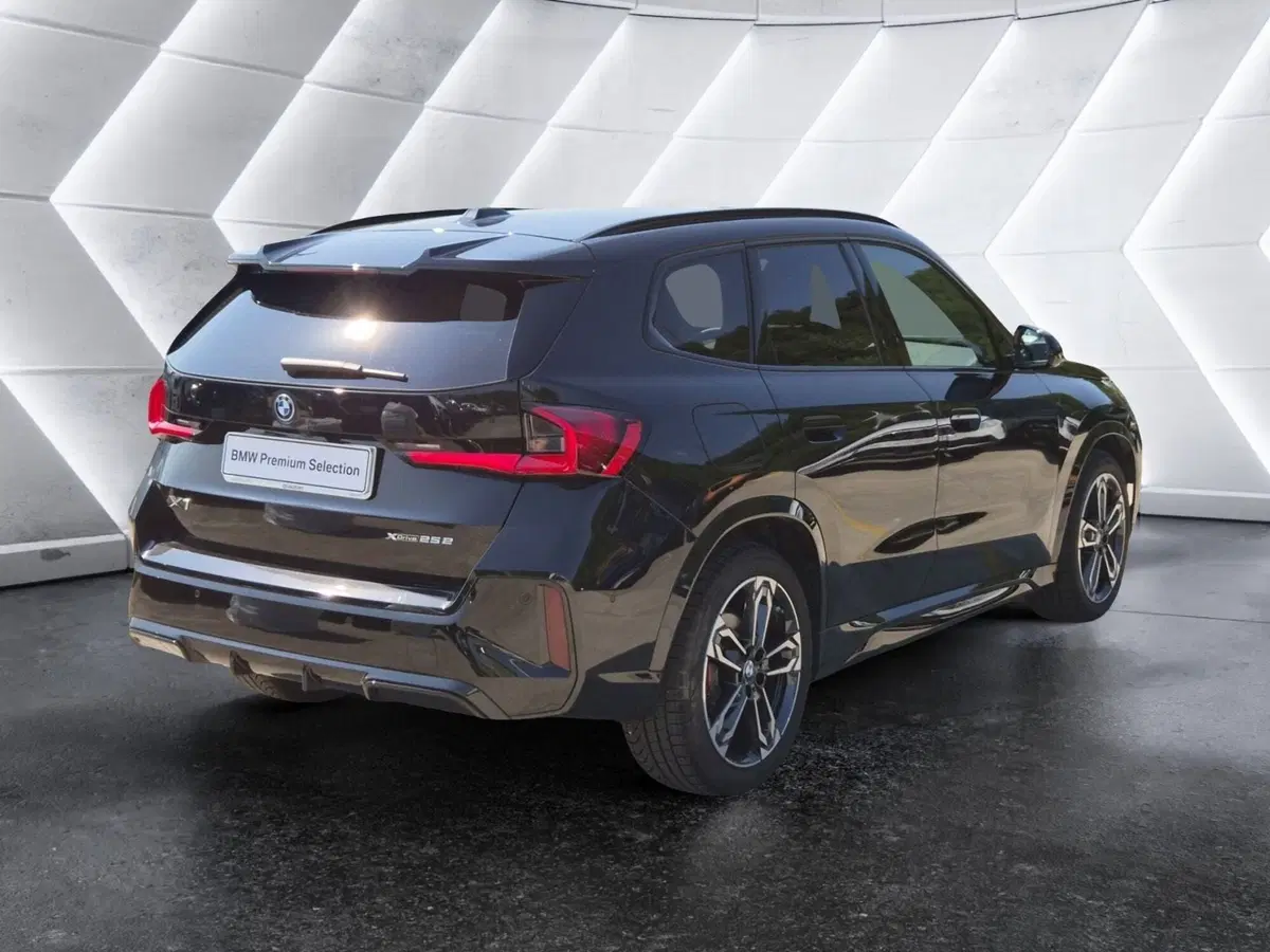 BMW X1 usata  (4)