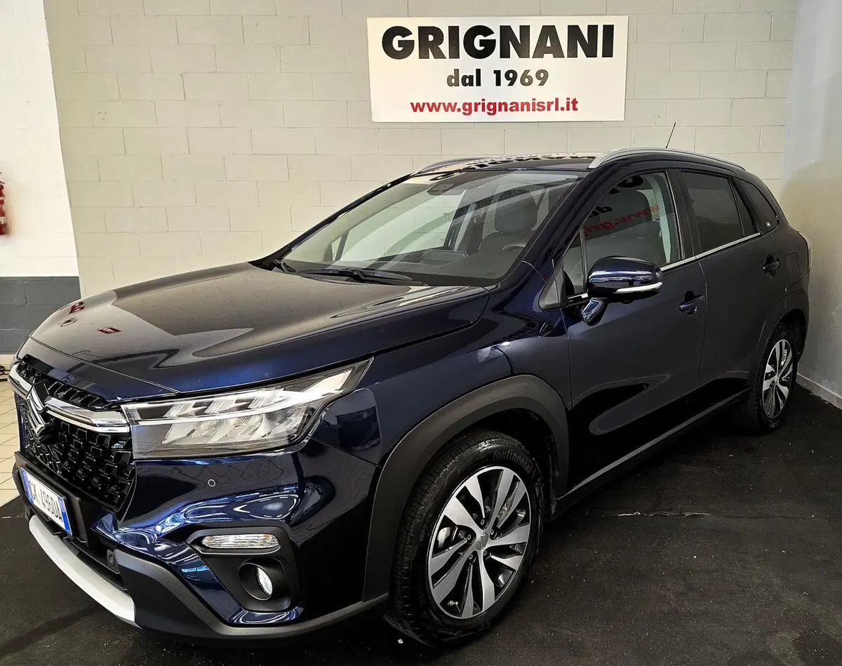 Suzuki S-Cross usata a Pavia (16)