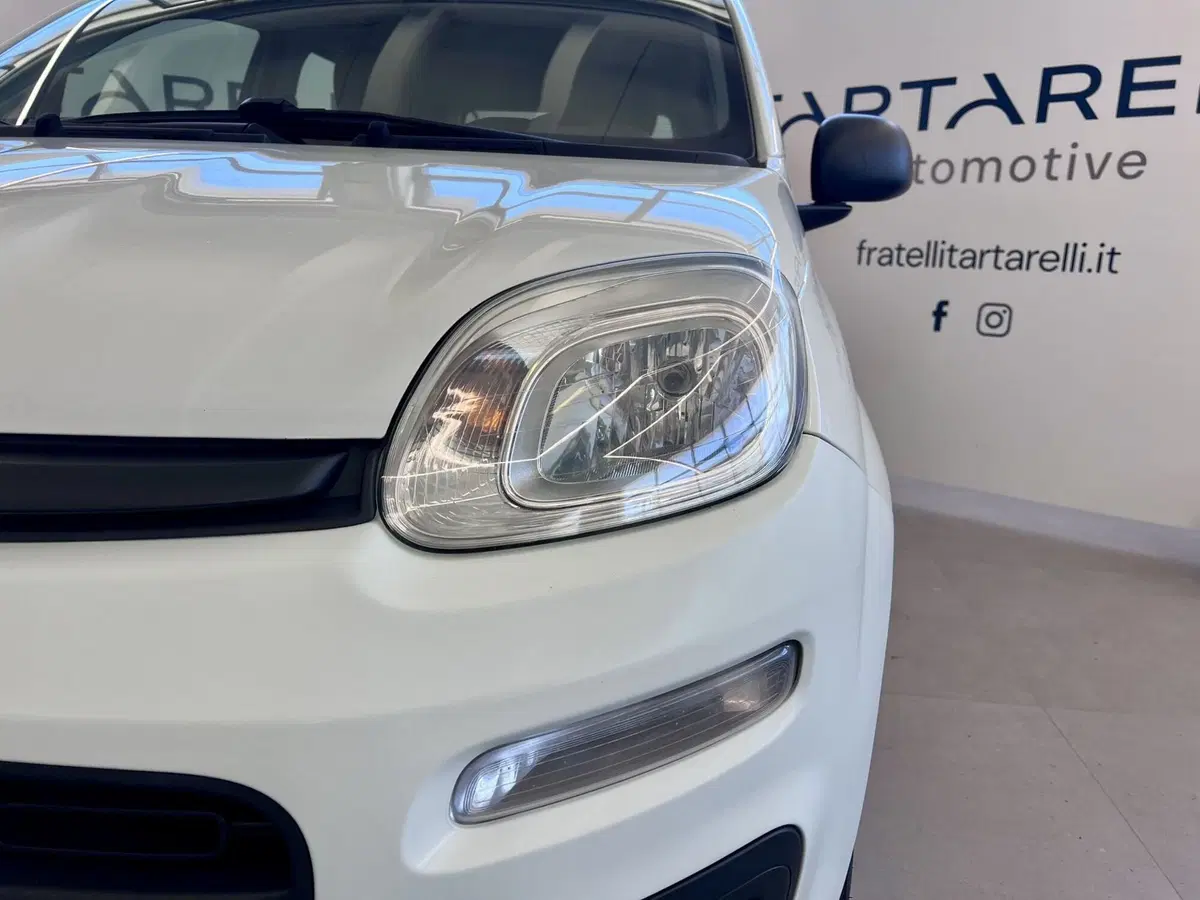Fiat Panda usata a Bari (4)