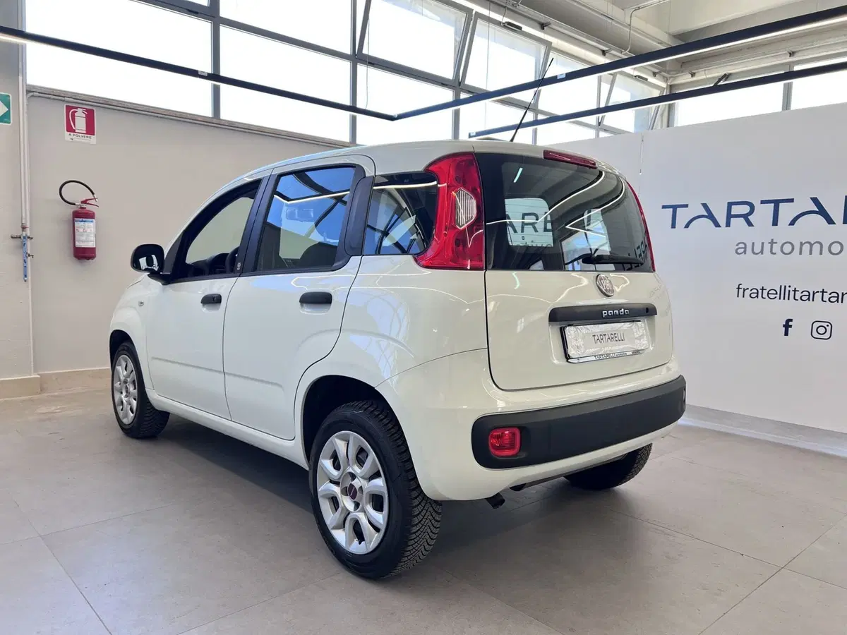 Fiat Panda usata a Bari (6)