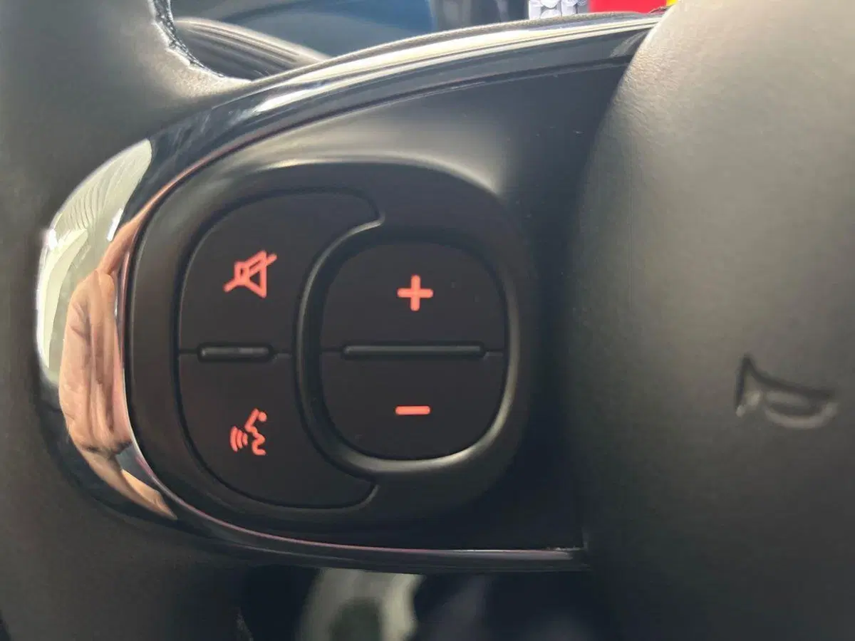 Fiat 500 usata a Torino (15)