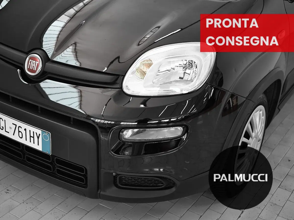 Fiat Panda usata a Prato (15)