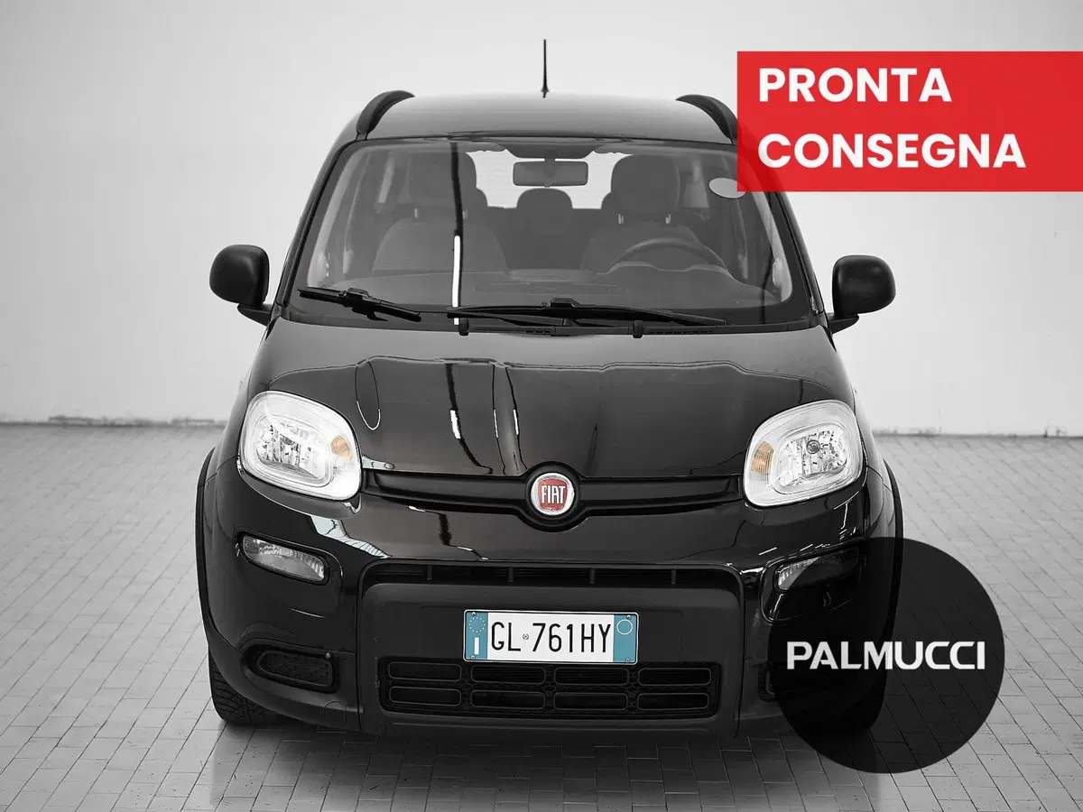 Fiat Panda usata a Prato (2)