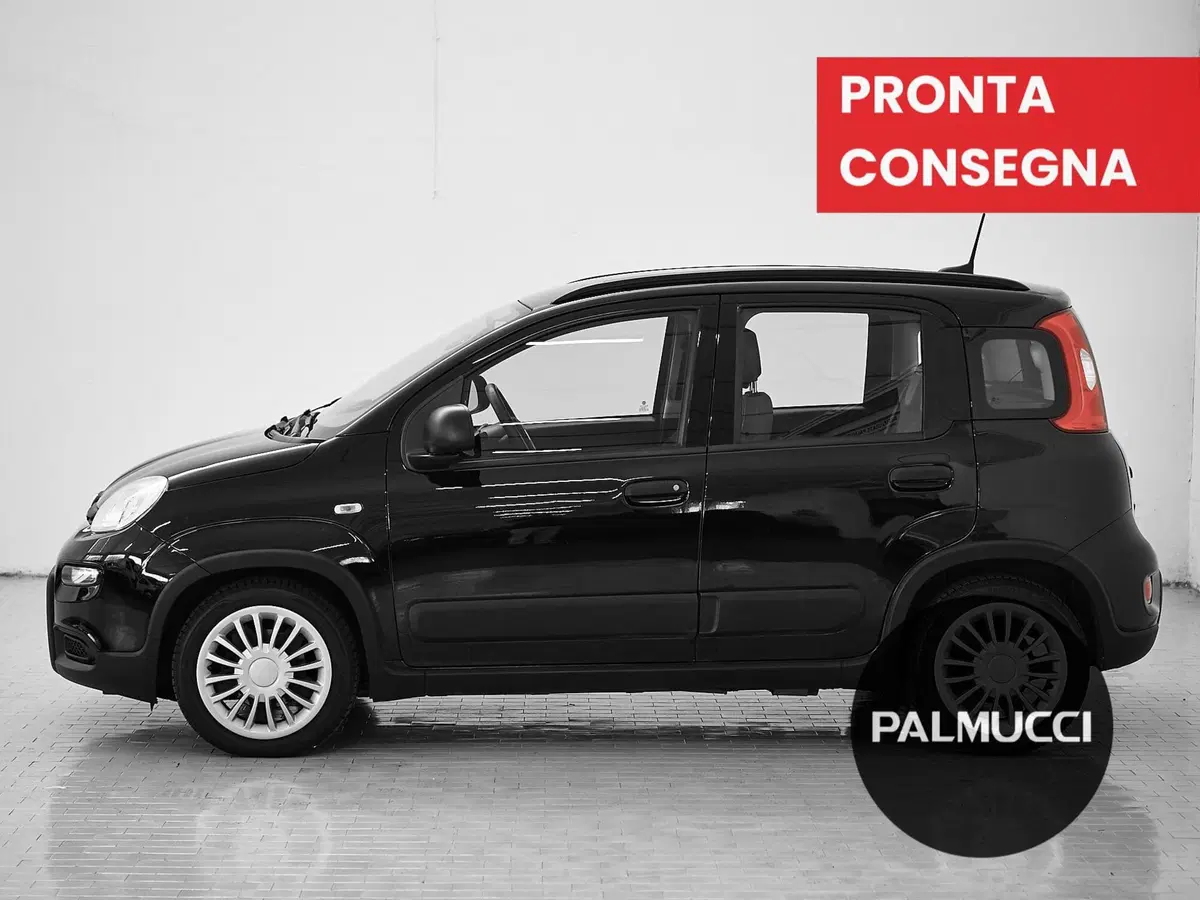 Fiat Panda usata a Prato (4)