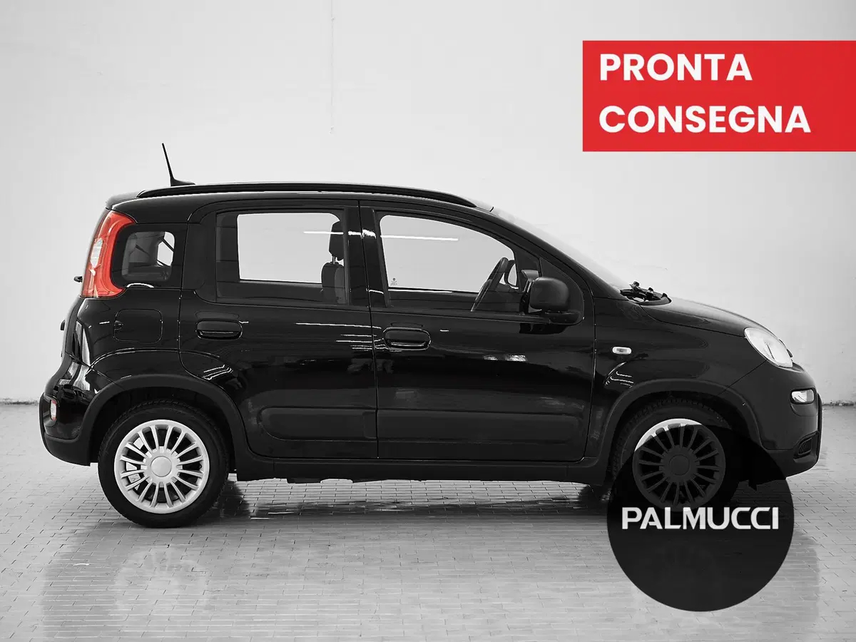 Fiat Panda usata a Prato (5)