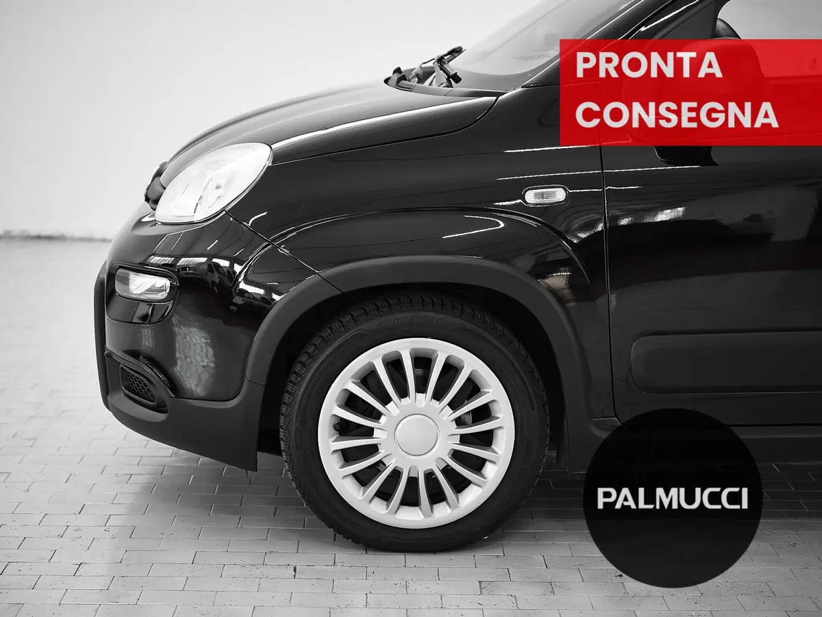 Fiat Panda usata a Prato (7)