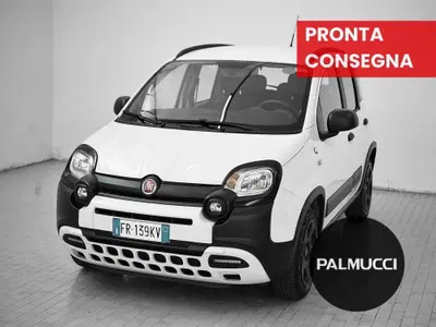 Fiat Panda 1.2 City Cross del 2018 usata a Prato
