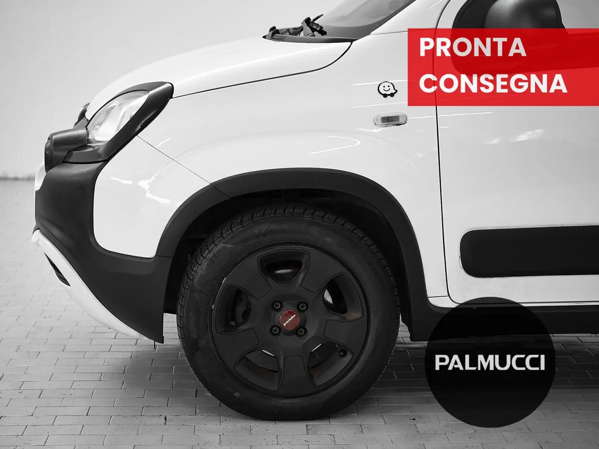 Fiat Panda usata a Prato (6)