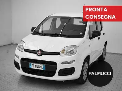 Fiat Panda 1.2 Easy del 2016 usata a Prato