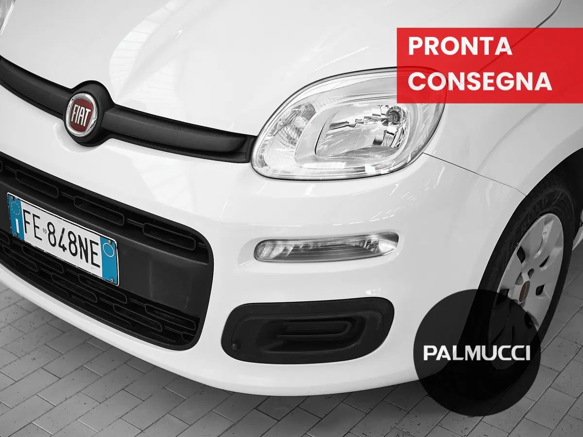 Fiat Panda usata a Prato (6)
