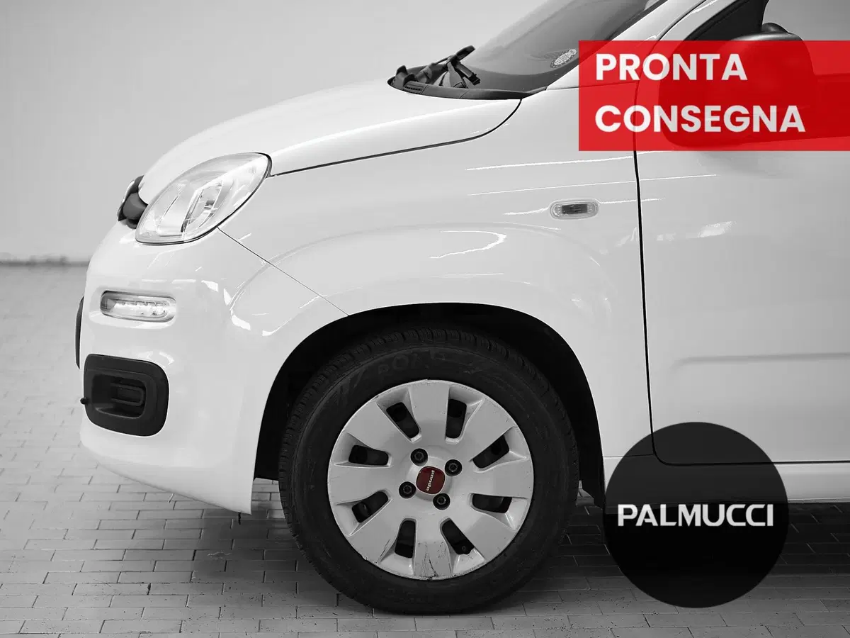 Fiat Panda usata a Prato (7)