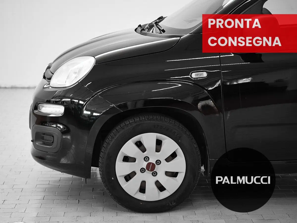 Fiat Panda usata a Prato (8)