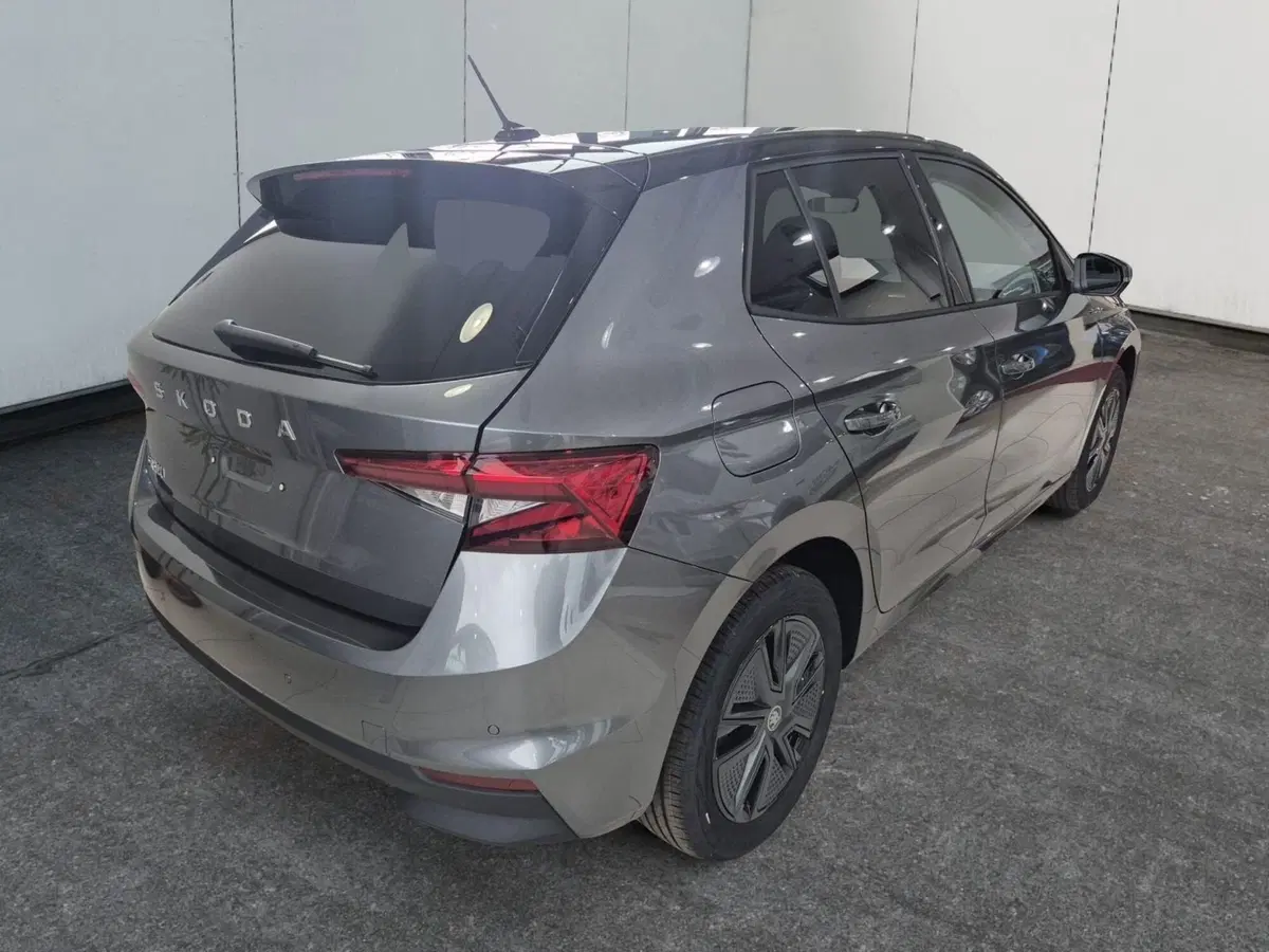 Skoda Fabia nuova a Torino (8)