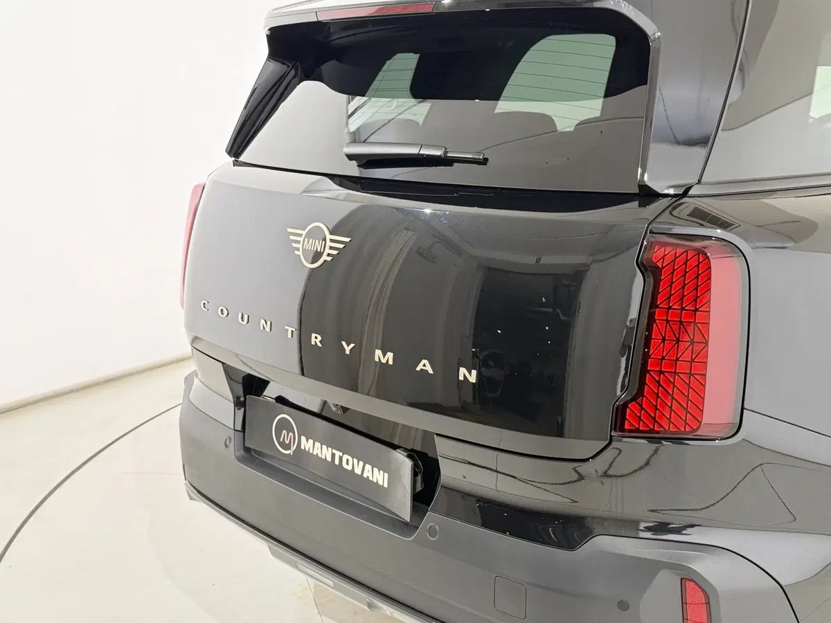 MINI Mini Countryman usata a Perugia (10)