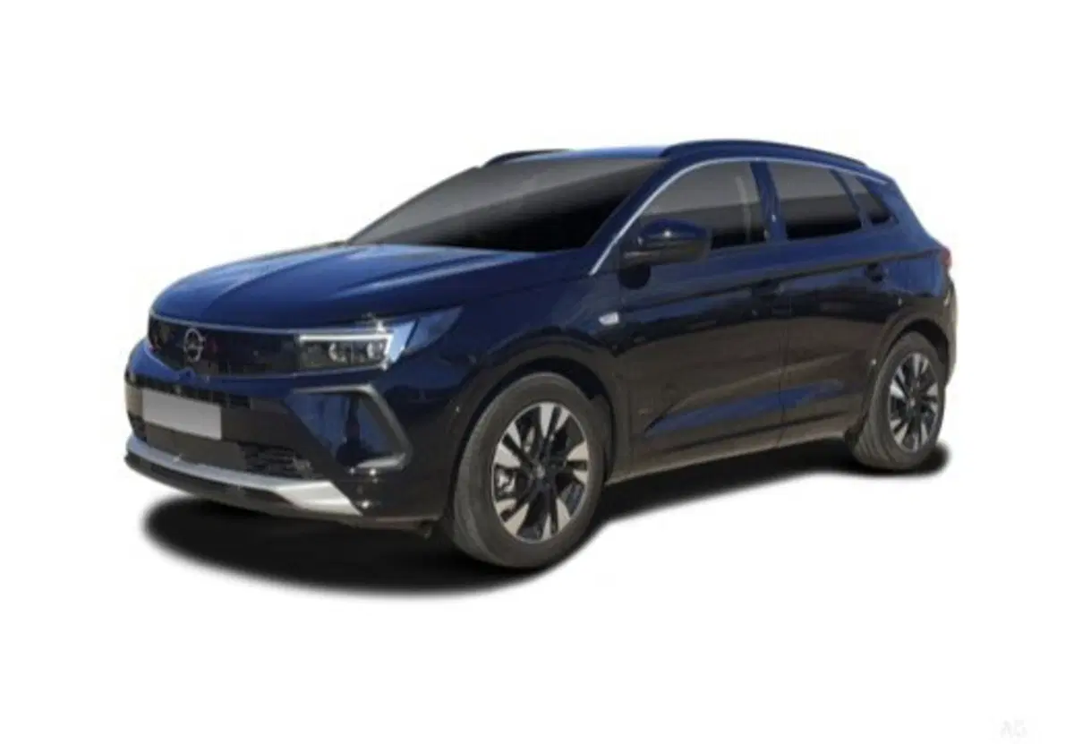 Opel Grandland usata a Palermo (12)