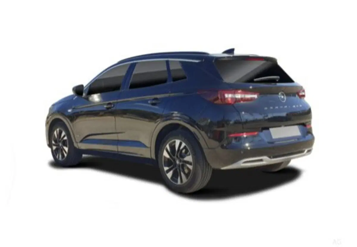 Opel Grandland usata a Palermo (4)