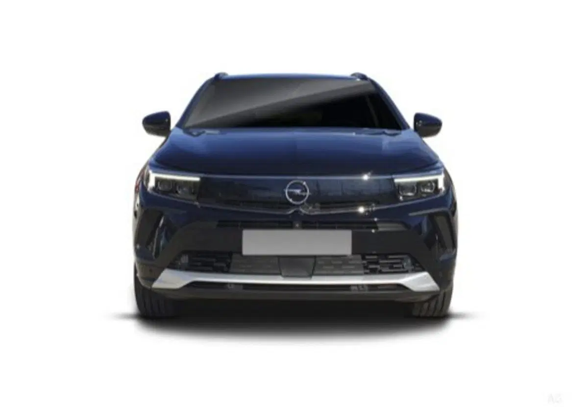 Opel Grandland usata a Palermo (5)