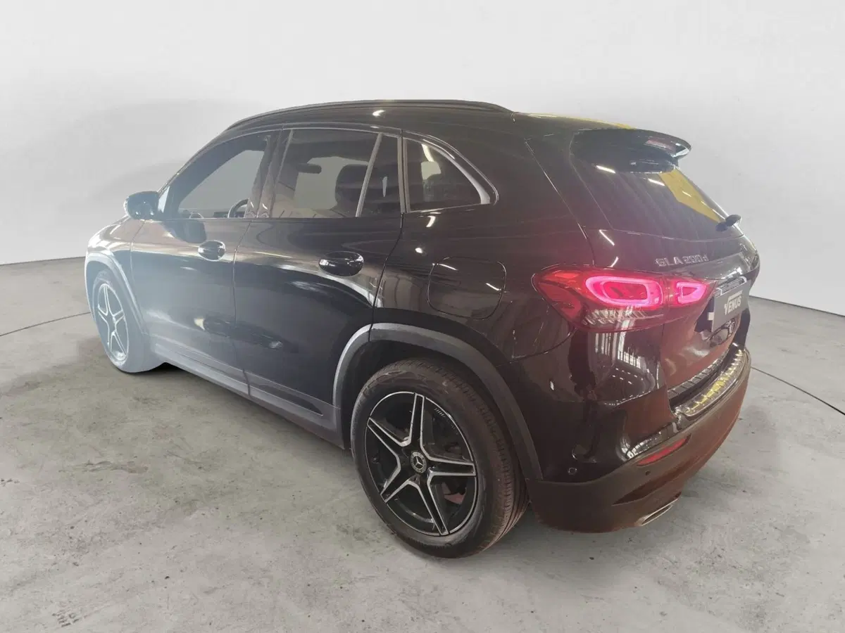 Mercedes-Benz GLA SUV usata a Monza e Brianza (3)