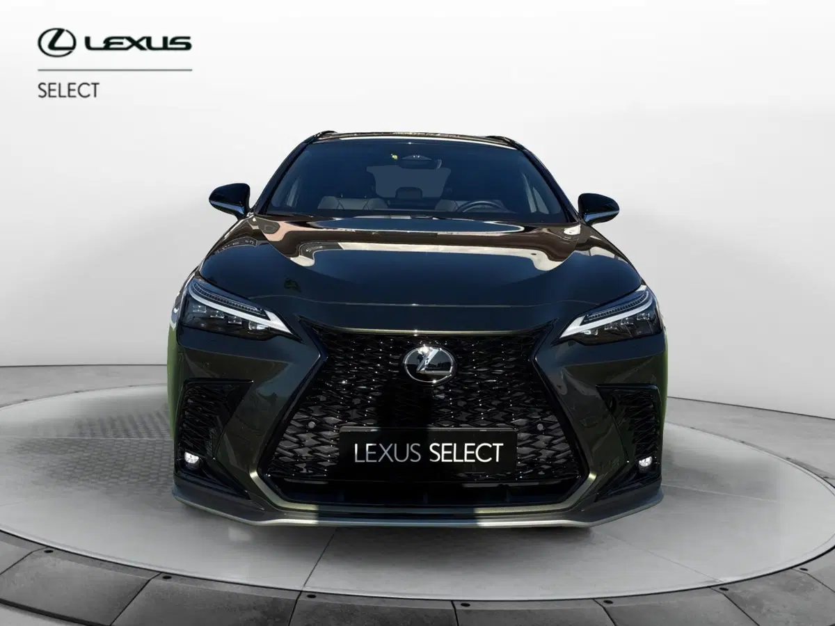Lexus NX usata a Bergamo (5)